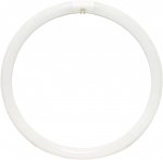 Sylvania Fluorescent T9 Circular 40W 4-Pin Cool White 0001967