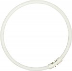 Sylvania Fluorescent T5 Circular 40W 4-Pin 830 Warm White