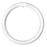 Eveready Fluorescent T9 Circular Tube 40W 4-Pin 3500K White G10q