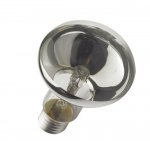 Status 42w R80 ES E27 Clear Halogen Spotlight Reflector Light Bulb