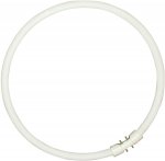 Philips Fluorescent T5 Circular 60W 4-Pin 840 Cool White