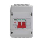 Wylex REC2SPD 100A DP Supply Isolator  Enclosed, Insulated with Type 2 SPD