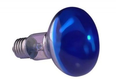 Sylvania 60w 240v R80 E27 Blue Reflector bulb 80mm 0015700