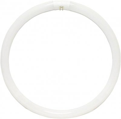 Crompton Fluorescent T9 Circular 60W 4-Pin Cool White CIR60SPCW