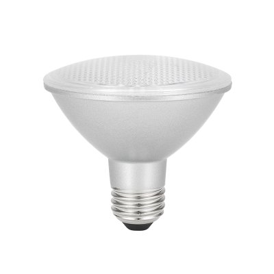 Bell Lighting 12w 240v ES E27 PAR30 2700k Dimmable 05867