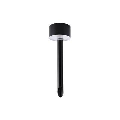 Integral True Solar Outdoor Spike Light  60Lm 3000K 0.5W Black IP44 LED Garden Light ILSSKB012