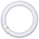 Bell Fluorescent T9 Circular 32W 12