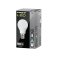 Integral 7w 220-240v 806lm LED GLS B22 5000k Daylight Dimmable 240 Degree Beam Frosted ILGLSB22DF102