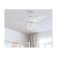 Westinghouse Talia 105 cm Ceiling Fan  White Finish with Light Fixture & Reversible Blades 73042