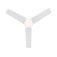 Westinghouse Talia 105 cm Ceiling Fan  White Finish with Light Fixture & Reversible Blades 73042