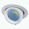 33w Lily LED Scoop Downlight - 3000K