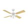 Westinghouse Princess Euro 105cm Indoor Ceiling Fan  White Finish, Reversible White/Beech Blades, Spot Lights 72113